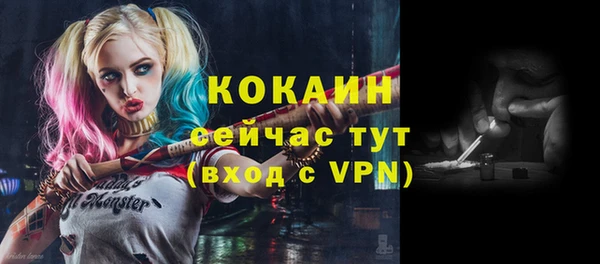 молекула духа Заволжье