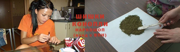 крисы Краснослободск