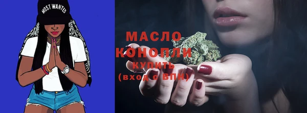 крисы Краснослободск