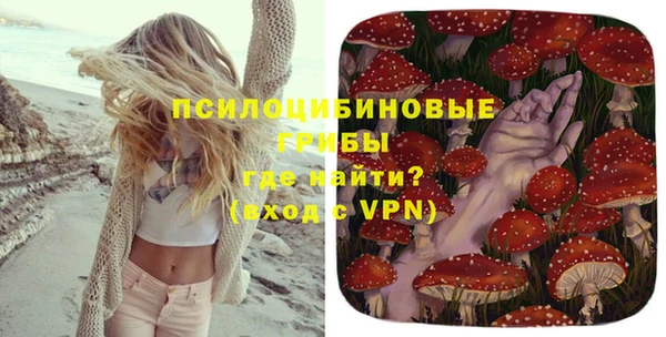 крисы Краснослободск