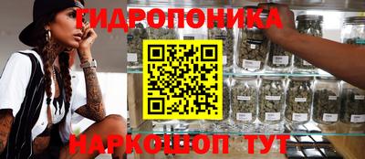 spice Ипатово