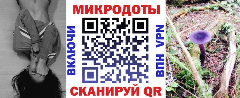 цена наркотик shop как зайти Галлюциногенные грибы мухоморы Новокубанск