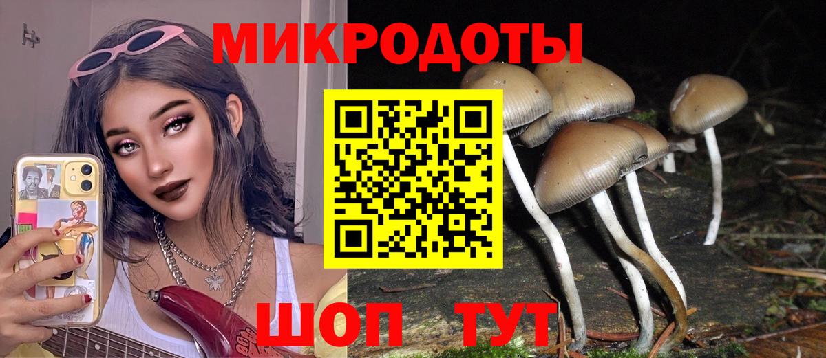 Галлюциногенные грибы прущие грибы  Вход с VPN  Новокубанск 