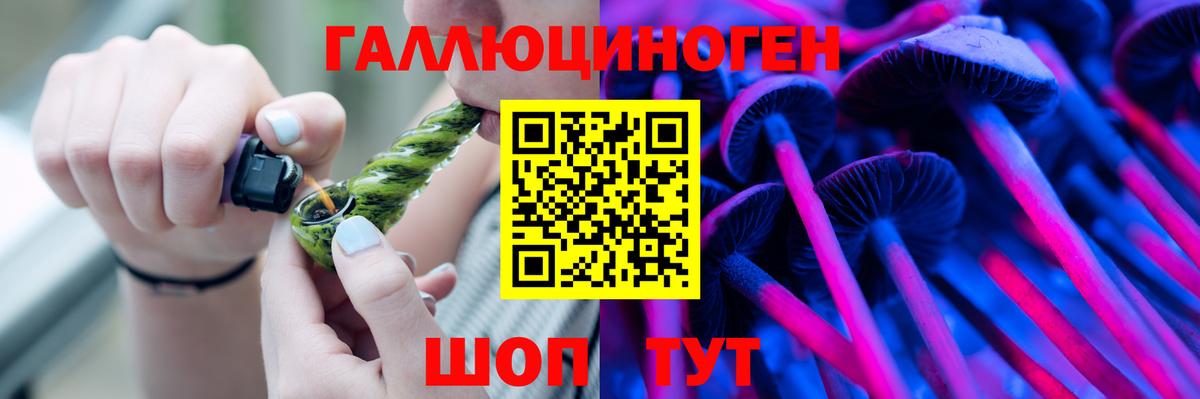 Галлюциногенные грибы Cubensis Новокубанск